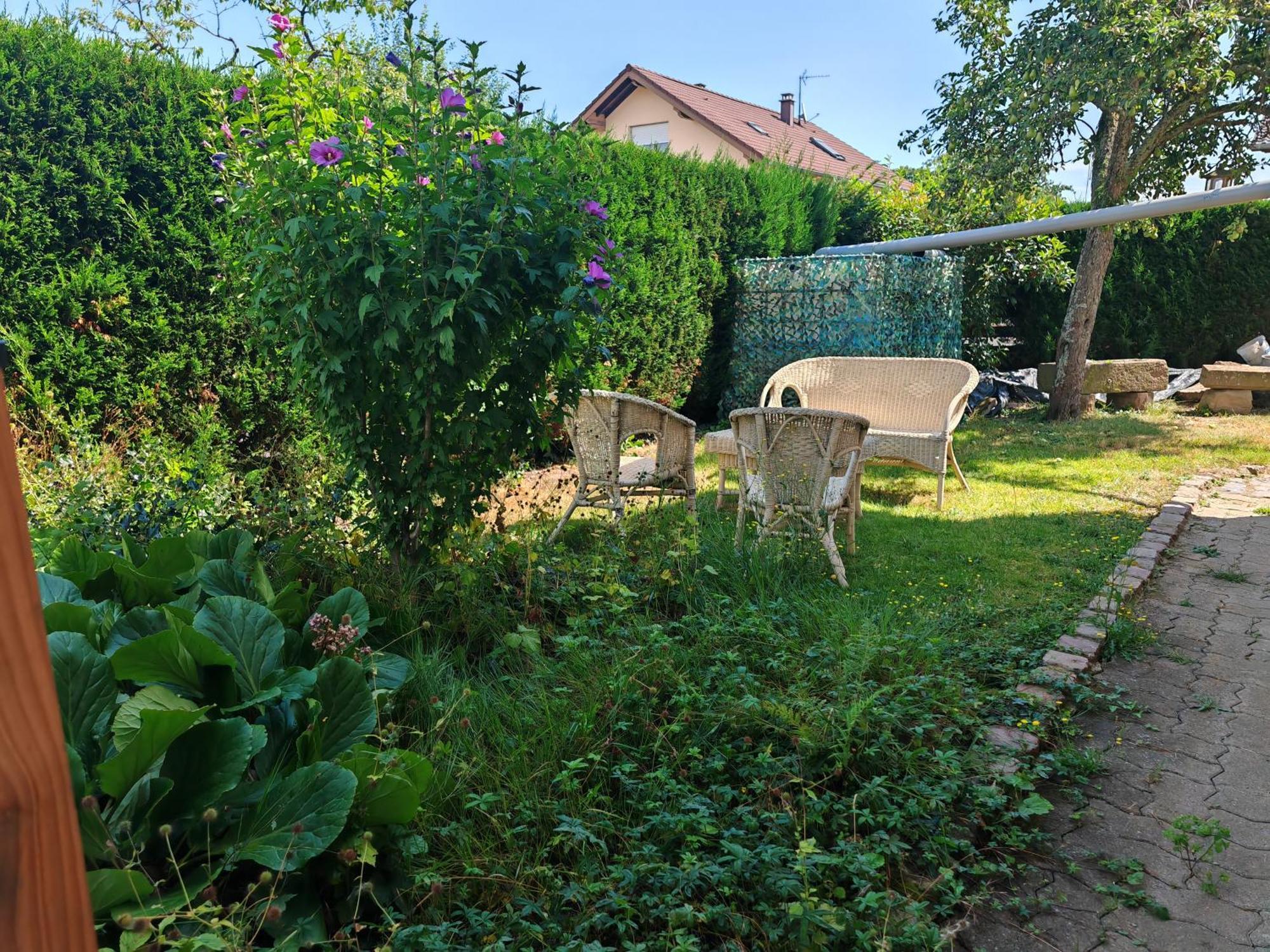 Appartement " Le Chardonneret " Issenheim Екстериор снимка